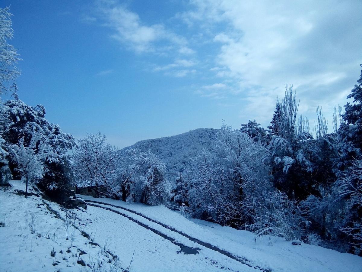 Mas Pardas Santa Pau Exteriör bild