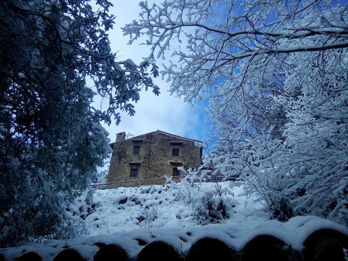 Mas Pardas Santa Pau Exteriör bild