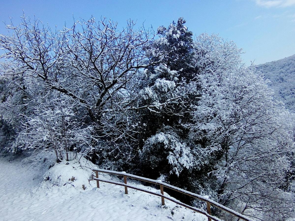 Mas Pardas Santa Pau Exteriör bild